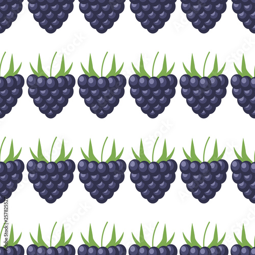 Summer berries seamless pattern. Blackberry illustration vector background. eps10