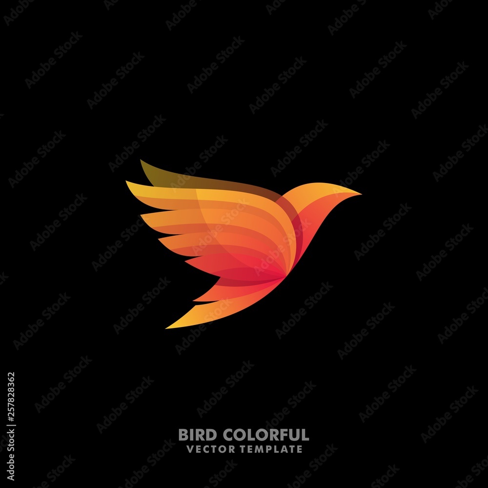 Obraz premium Bird Concept Designs illustration vector template