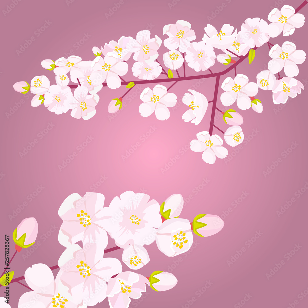 Pink Cherry blossom on branch with bud or shoots. Empty copyspace with floral border. Vector illustration.