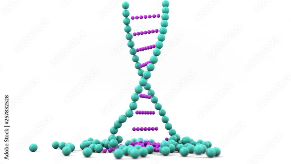 DNA molecule model falls and breaks. 3D animation DNA molecule model falls and breaks. 3D animation