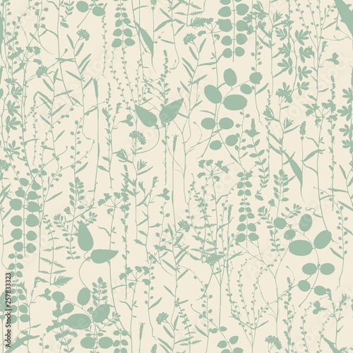 Set of field flowers, herbs. Element of seamless pattern. Paper design. Print element. Vector silhouettes collection.