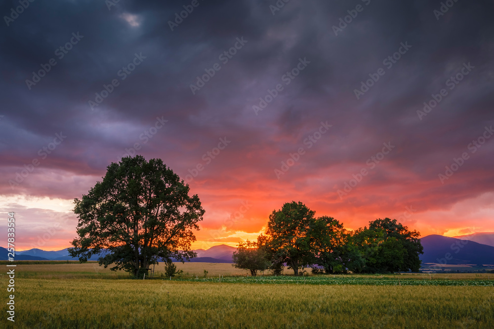 Fototapeta premium Rural landscape with fields, trees and distant mountains in Turiec region, central Slovakia.