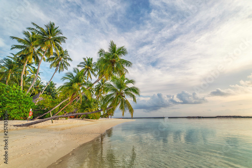 Fototapeta Naklejka Na Ścianę i Meble -  maldives, exotic destination for holiday or honeymoon, white coral beach with palms in paradise