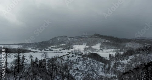 Aerial view of snow covered landscape with trees