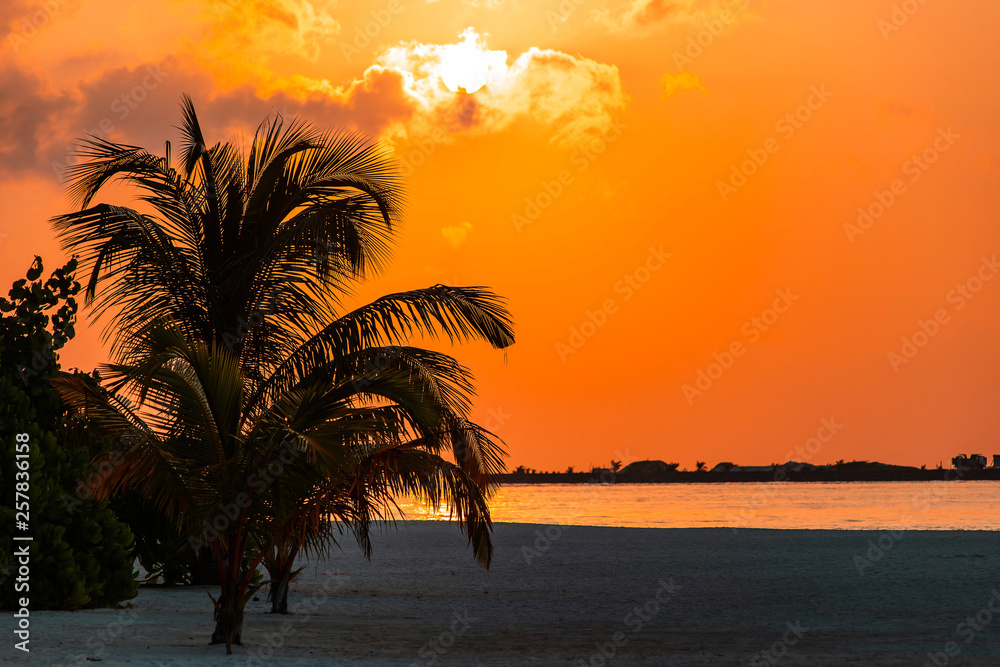 sunset or sunrise with palms and ship in the maldives, exotic destinations for holiday or honeymoon, 
