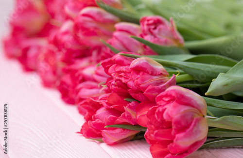 Tulips background. A bouque...