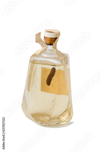 bottle of mezcal with worm