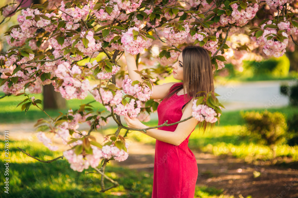 Charming girl in beautiful pink dress hold bunch of sakura in hands. Beautiful european girl near the japanese tree Charming girl in beautiful pink dress hold bunch of sakura in hands. Beautiful european girl near the japanese tree