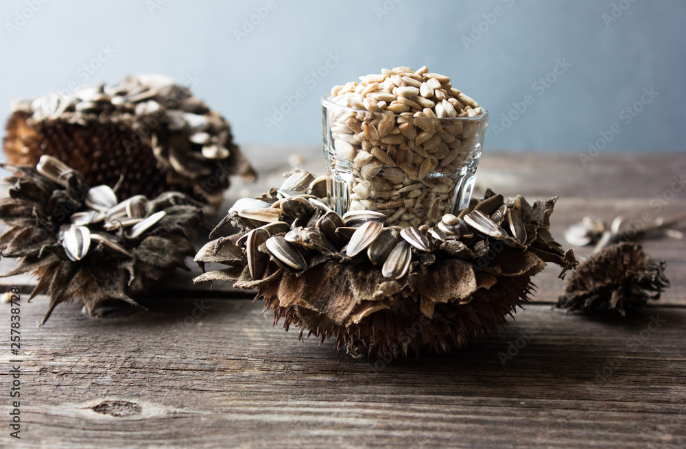 sunflower seeds in dry sunflower grains, seed shell sunflower seeds in dry sunflower grains, seed shell