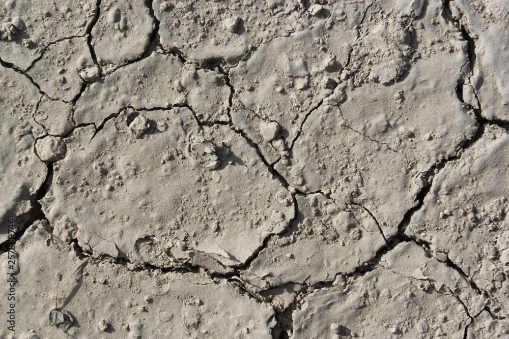 Fototapeta premium Ground texture