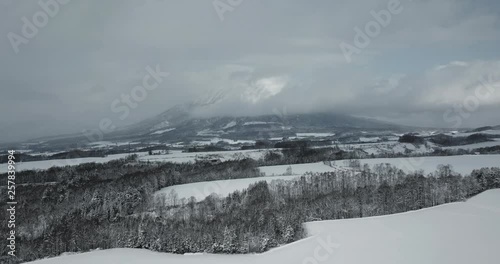 Aerial view of snow covered landscape with trees and mountain