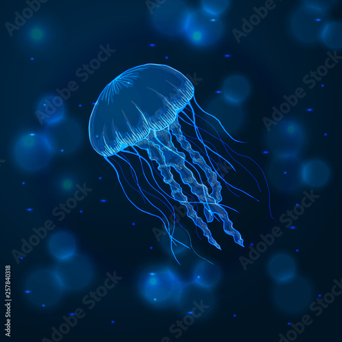 Hand drawn sketch isolated jellyfish, marine animals