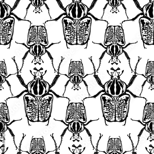 Seamless pattern with insects. Beetles Goliath on a white background.