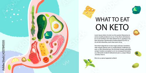 Vector illustration of a stomach which is filled with ketogenic poducts. Keto diet banner, landing page, article or blog post.