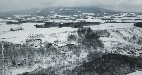 Aerial view of snow covered landscape with trees