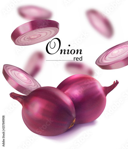 Red onion and sliced ​​onions. Vector realistic illustration. Design leaflets for cooking.