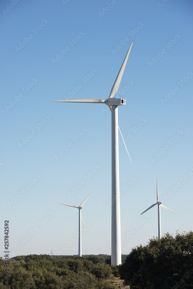 Wind energy concept