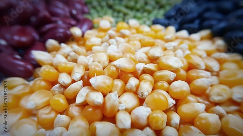 Bean grains. Background with various grains.