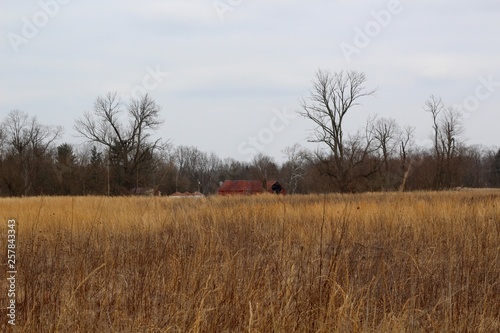 A view of the top of the red barn in the brown grass field.