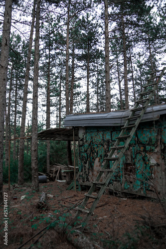 Abandoned hut of hunters in the forest © Edurne