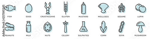 Food allergy icons. Basic allergens and diet line icons vector set. Isolated on white background .