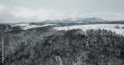Aerial view of snow covered landscape with trees