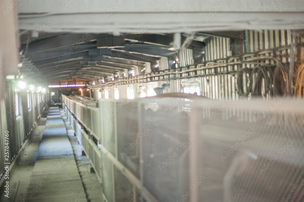 Naklejka premium transportation of ores by conveyor belt
