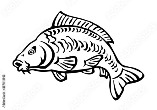 carp fish bald without scales black and white icon