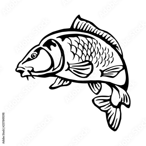 carp fish with fish scales big fish black and white clipart