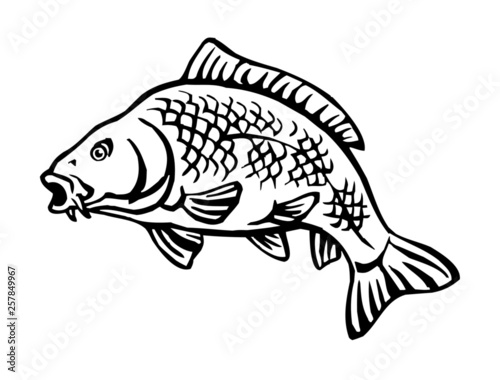 carp fish with fish scales big fish black and white icon