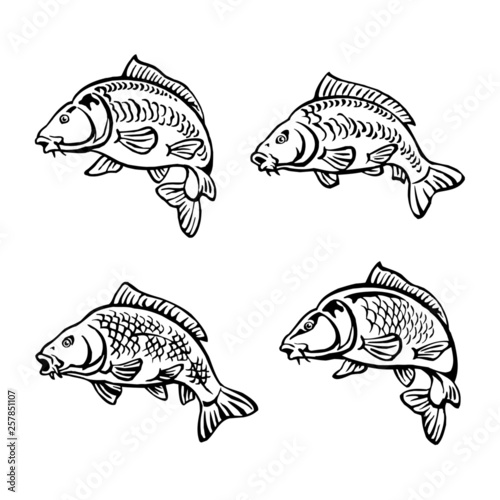 carp fish black and white icon set photo