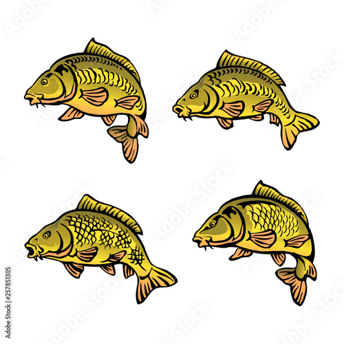 carp fish set of color icons isolated on white background