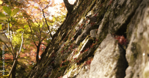 石垣・紅葉