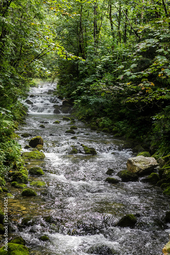 Mountain stream in the Austrian Alps near Obertraun.