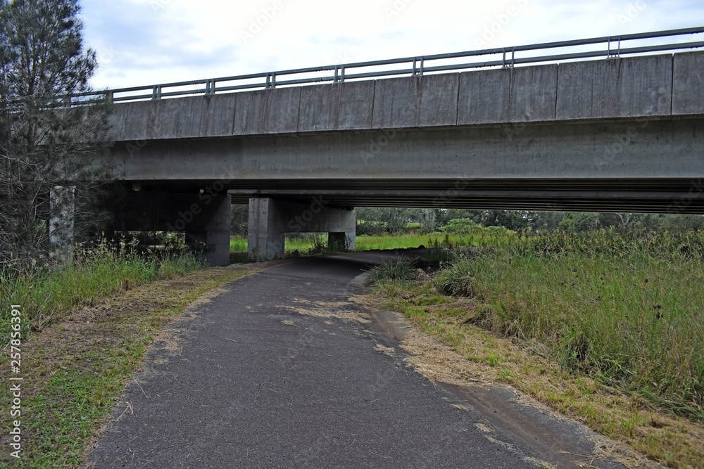 Single lane road running underneath a bridge landscape