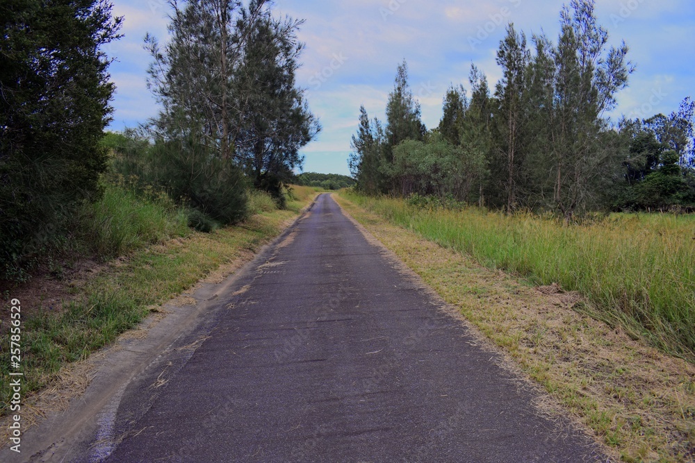 Australian single lane sealed uphill rural road background Australian single lane sealed uphill rural road background