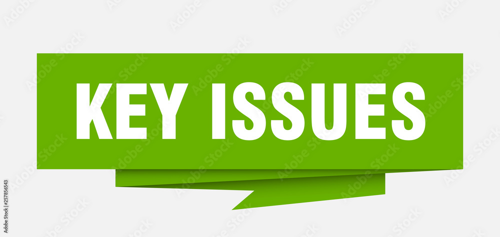 key issues key issues