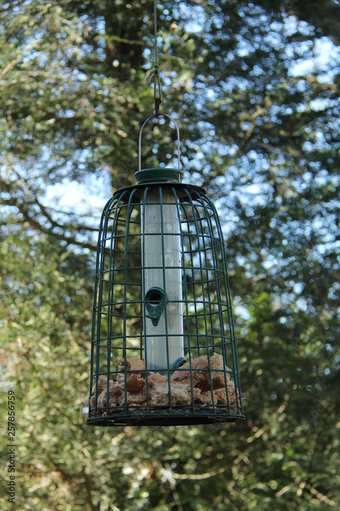 A Metal Frame Bird Feeder With Water and Bread.