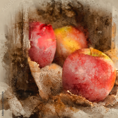 Red apples in rustic kitchen setting with old wooden box and hessian sack photo