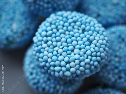 Liquorice close up. Macro photography