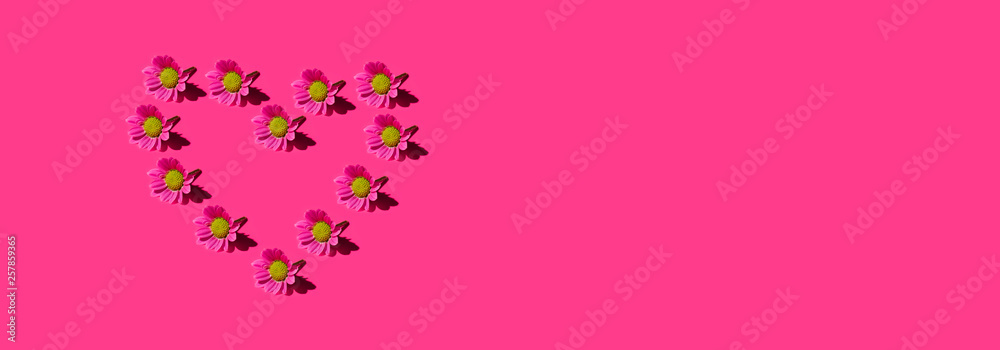 Floral heart pattern background made of  pink chamomile daisy flowers. flowers banner. Floral background. Pattern of flower buds.
