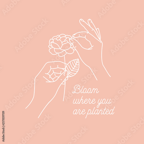 Woman hands holding a flower. Design print. Vector illustration