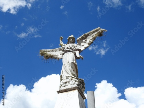 Scene in a graveyard: an old stone statue of an angel with broken wings seen from below. Vegetation grows in all parts of the statue. The angel seems to be floating in the clouds.