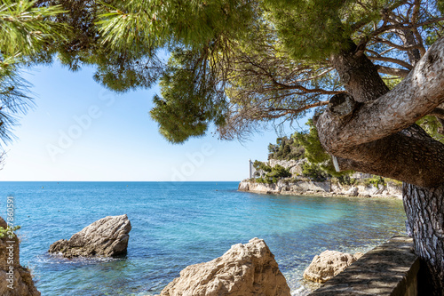 Fototapeta Naklejka Na Ścianę i Meble -  Beautiful sunny rocky beach in Miramare's park, Trieste Italy