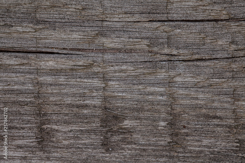 natural piece of wood, background 