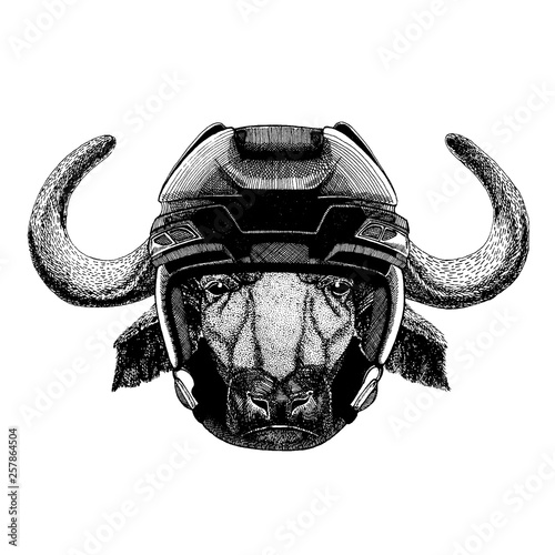 Buffalo, bull, ox, animal wearing hockey helmet. Hand drawn image of lion for tattoo, t-shirt, emblem, badge, logo, patch.