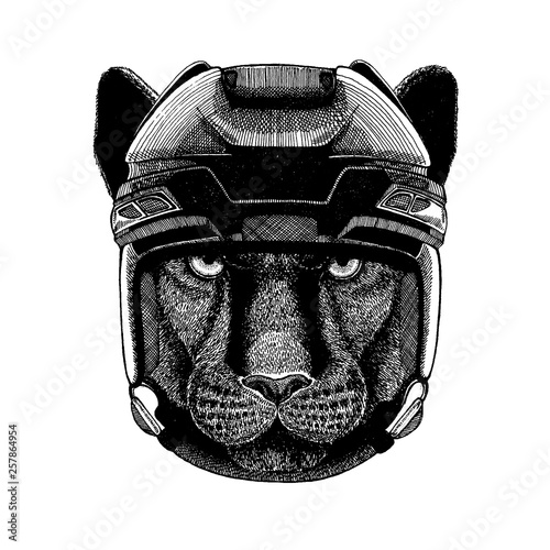 Panther, puma, cougar, wild cat, animal wearing hockey helmet. Hand drawn image of lion for tattoo, t-shirt, emblem, badge, logo, patch.