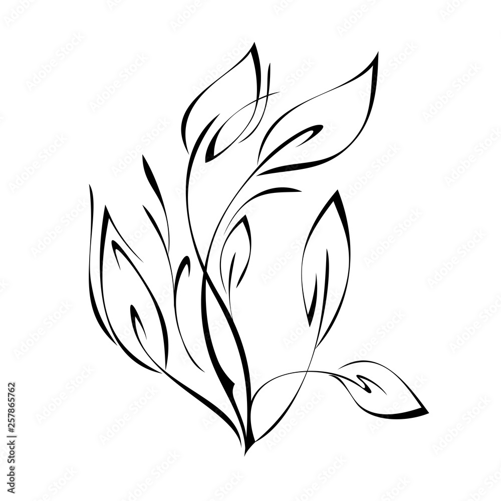 stylized twigs with leaves in smooth black lines on white background stylized twigs with leaves in smooth black lines on white background