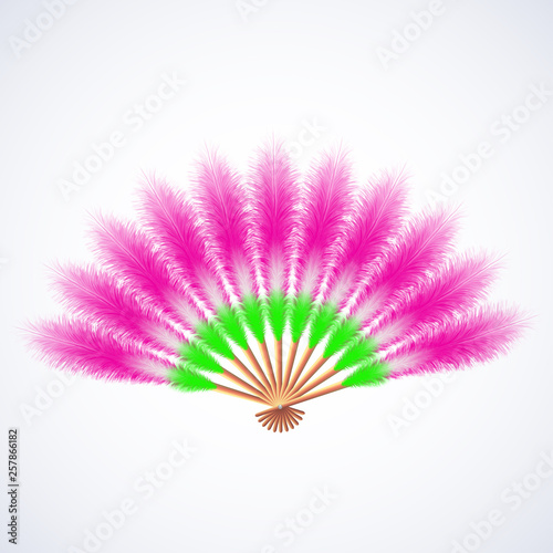 colorful feathers fan isolated on white