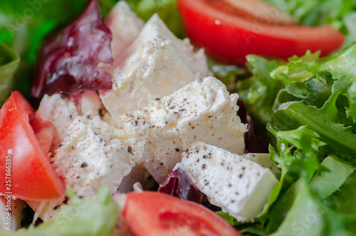 spring fitness salad. lettuce, radicio, tomatoes, and feta cheese with olive oil photo